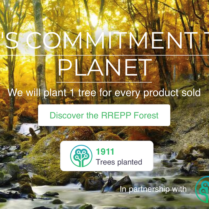 RREPP Launches New Ethical Website