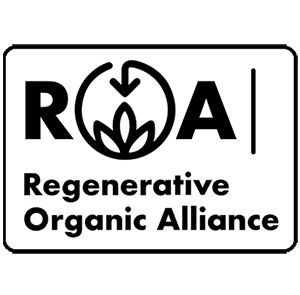 BIG NEWS TO START 2025 — RREPP